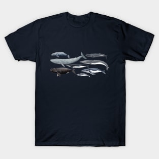 Whale diversity T-Shirt